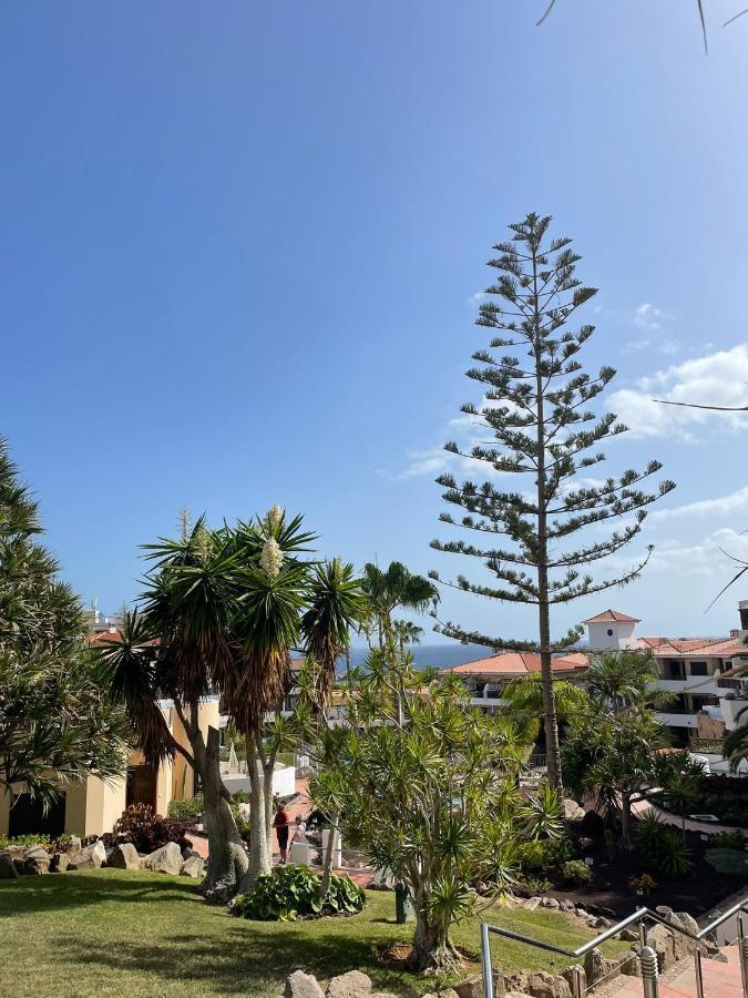 Paraiso Albatros, Beautiful Complex San Miguel de Abona Exterior foto